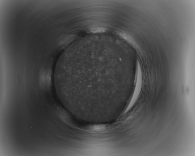 X0000090730501200707201411