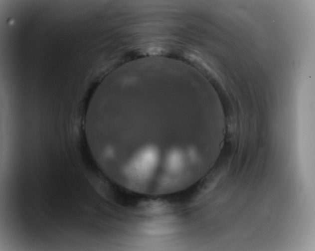 X0000090730503200707201411