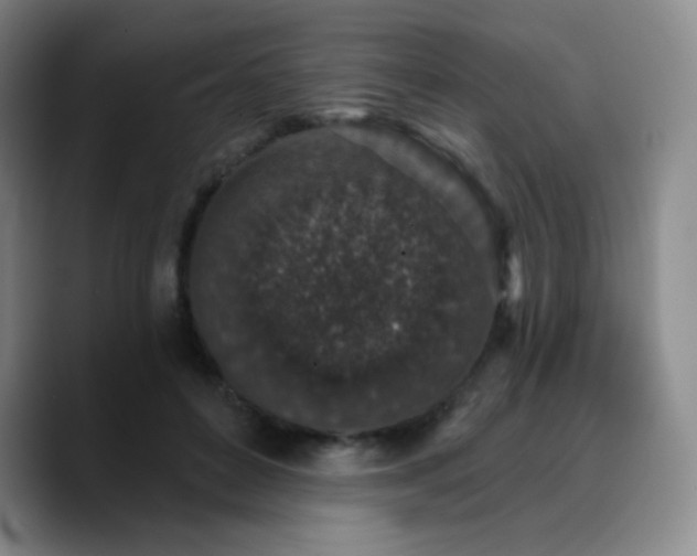 X0000090730504200707201411