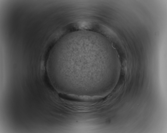 X0000090730506200707201411