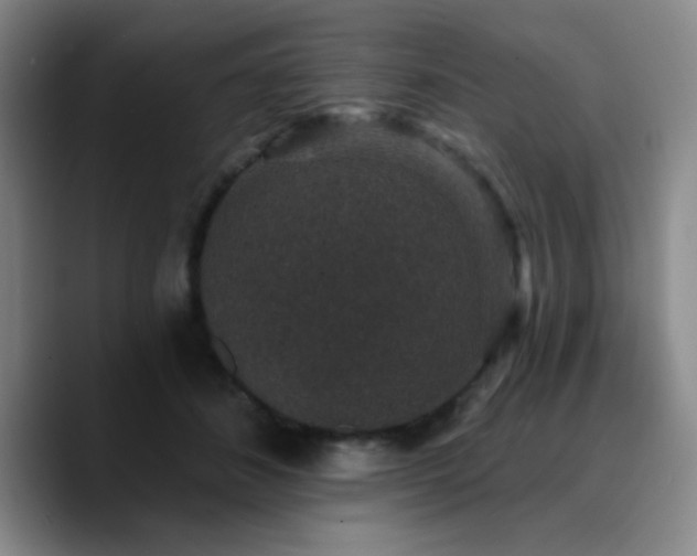 X0000090730508200707201411