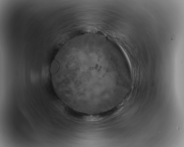 X0000090730511200707201411