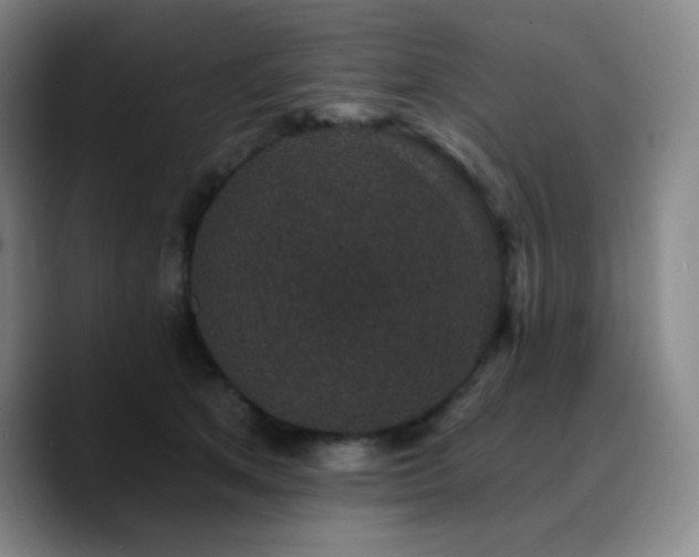 X0000090730513200707201411