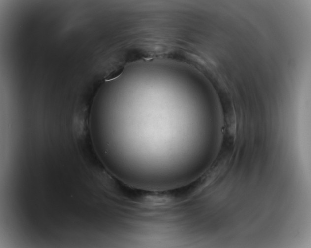 X0000090730515200707201411
