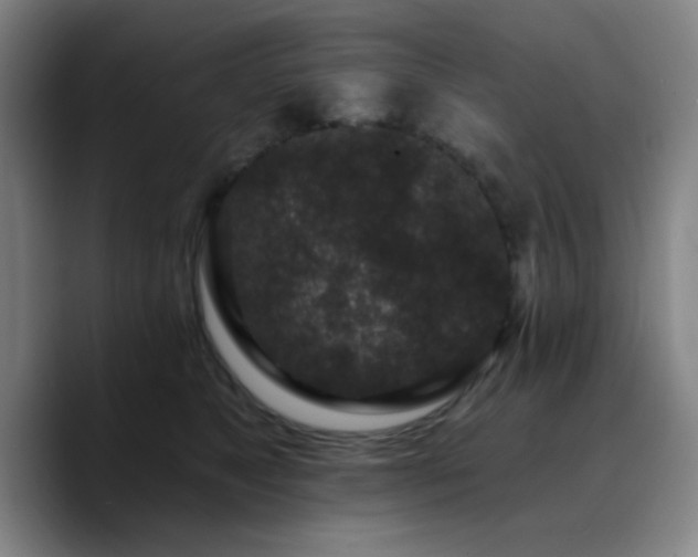 X0000090730517200707201411