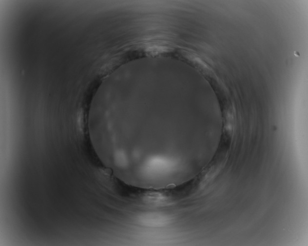 X0000090730519200707201411