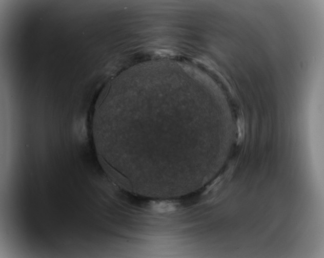 X0000090730520200707201411