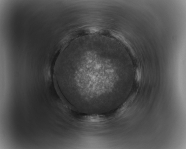 X0000090730524200707201411