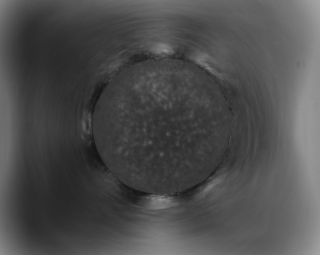 X0000090730528200707201411