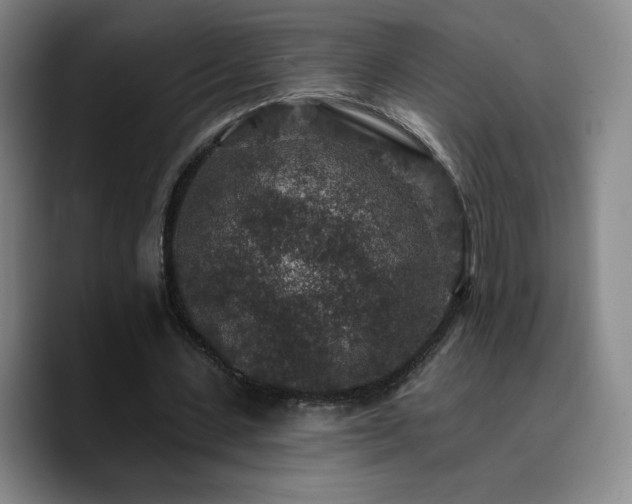 X0000090730531200707201410