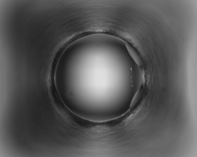 X0000090730536200707201411