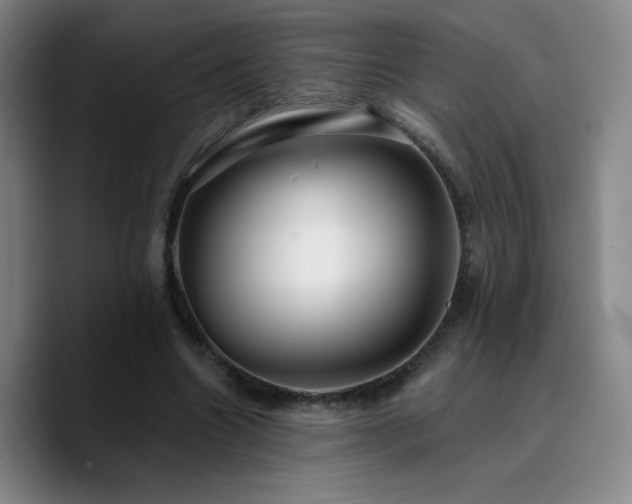 X0000090730538200707201411