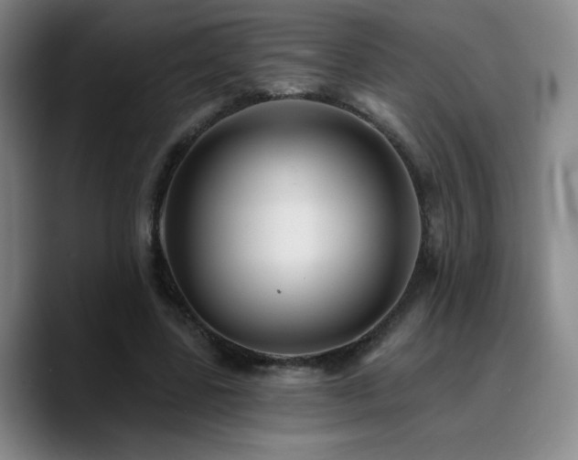 X0000090730539200707201411