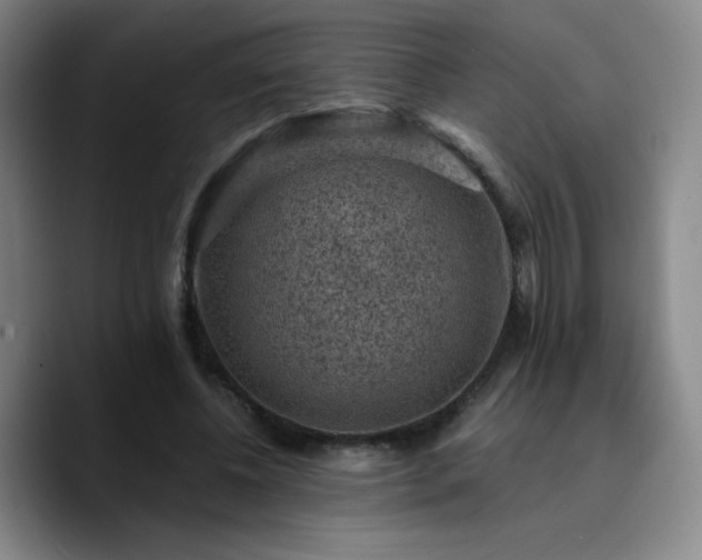 X0000090730540200707201411