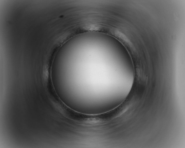 X0000090730541200707201411