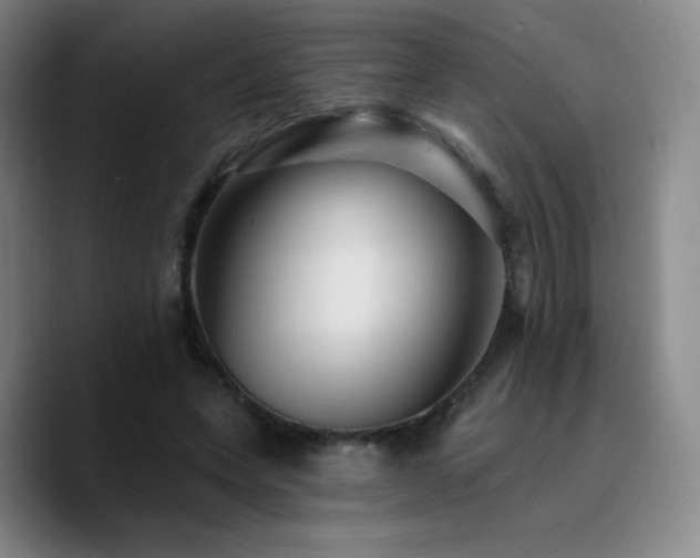 X0000090730543200707201411