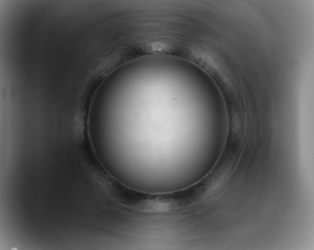 X0000090730545200707201411