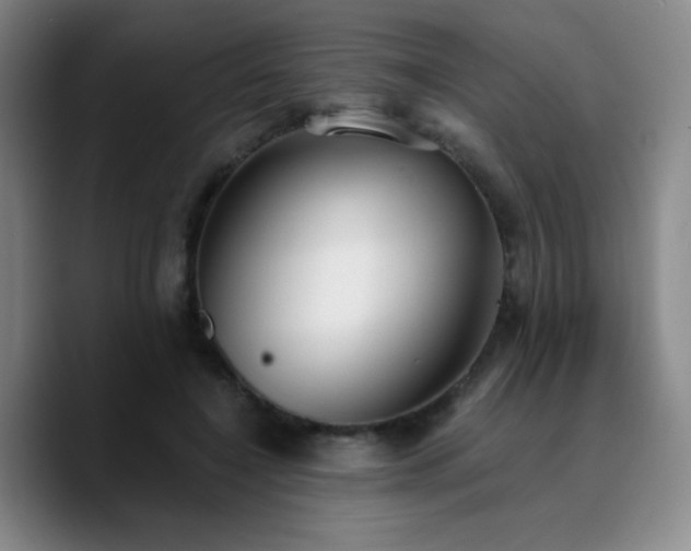 X0000090730548200707201411
