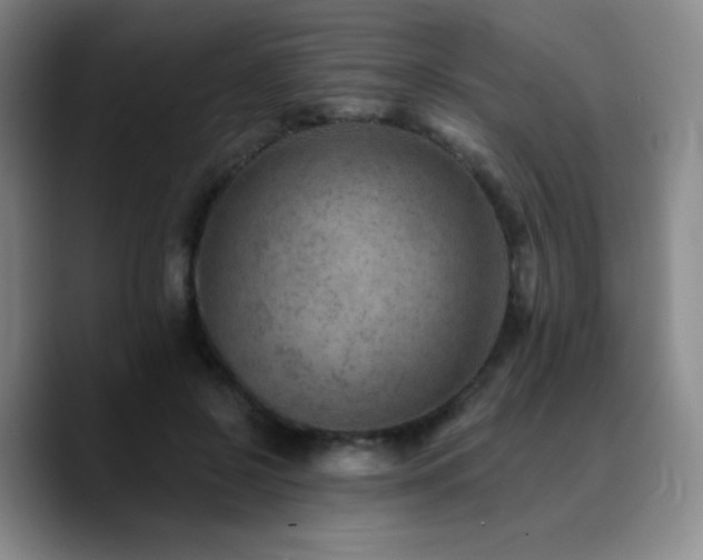 X0000090730550200707201411