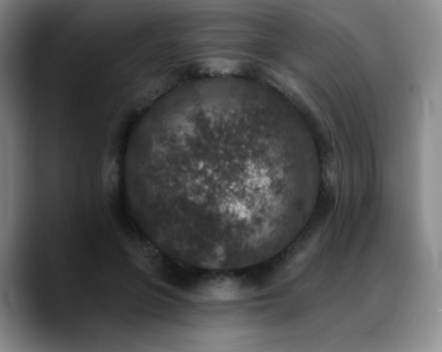 X0000090730551200707201411