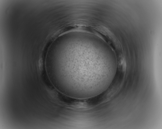 X0000090730552200707201411