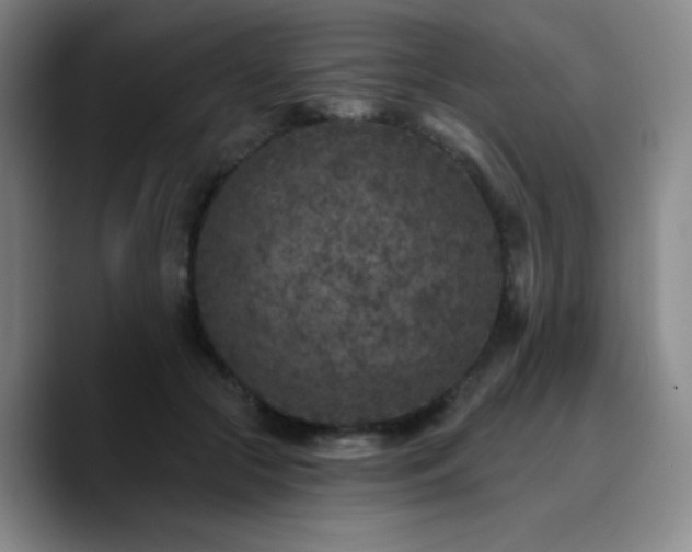 X0000090730553200707201411