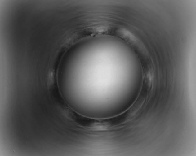 X0000090730556200707201411