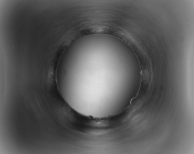 X0000090730557200707201411