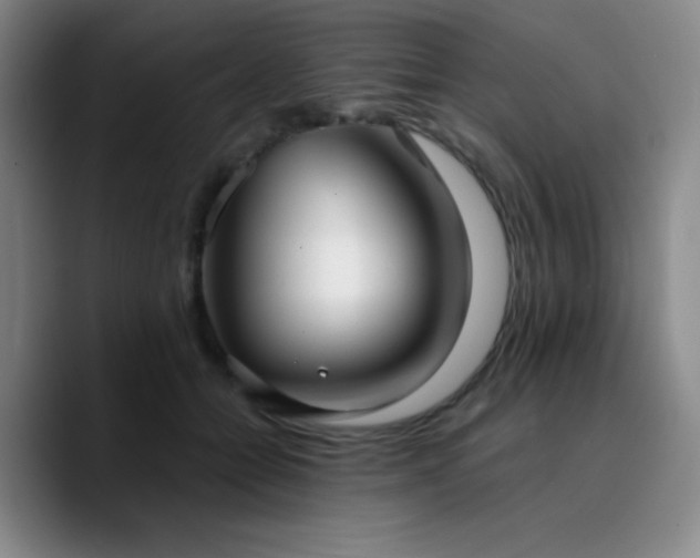 X0000090730558200707201411