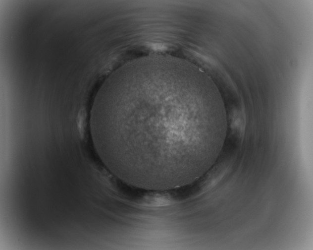X0000090730559200707201411