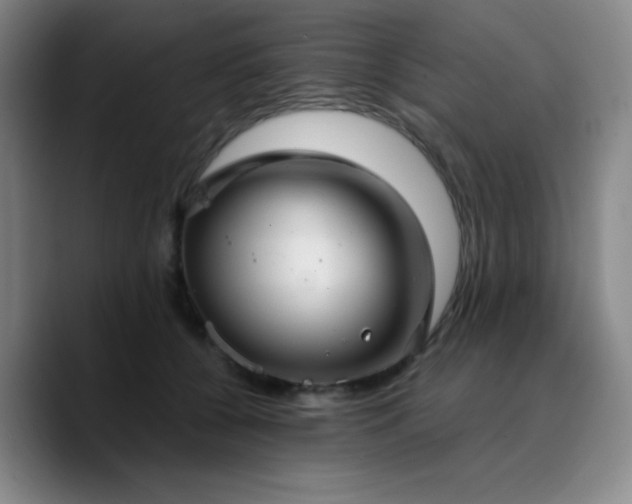 X0000090730560200707201411