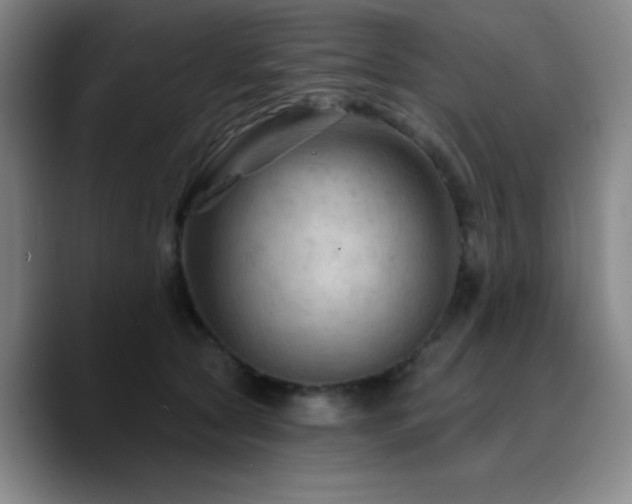 X0000090730561200707201411