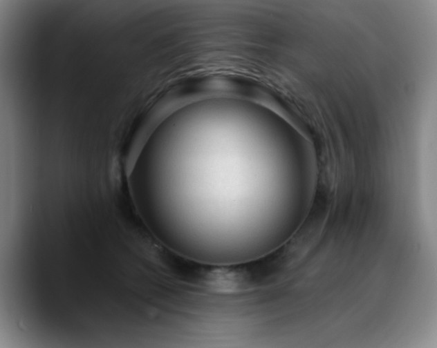 X0000090730562200707201411