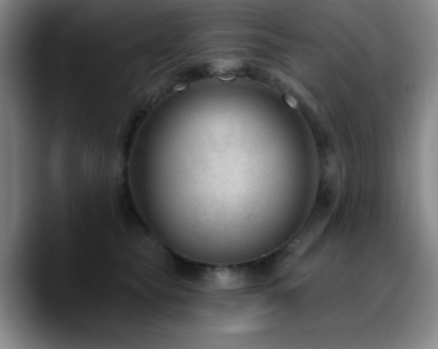 X0000090730565200707201411