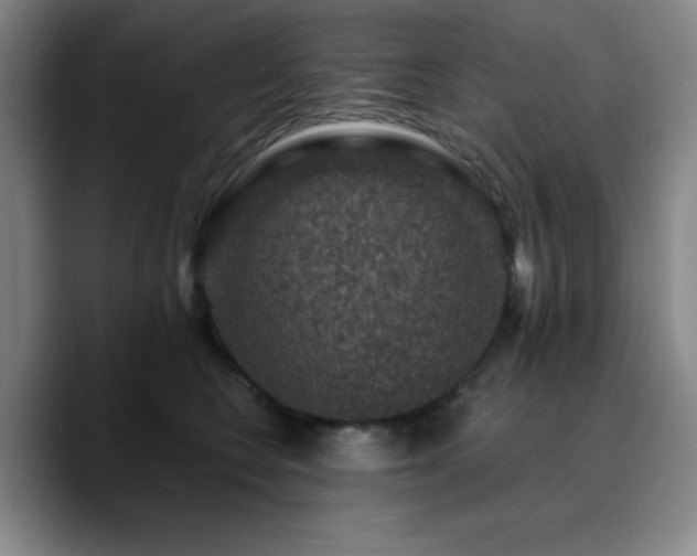 X0000090730566200707201411