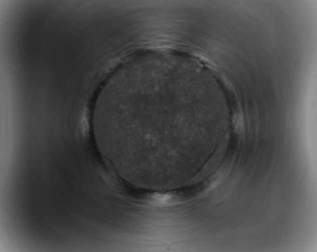 X0000090730570200707201411