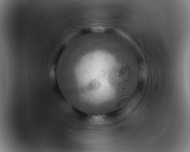 X0000090730573200707201411