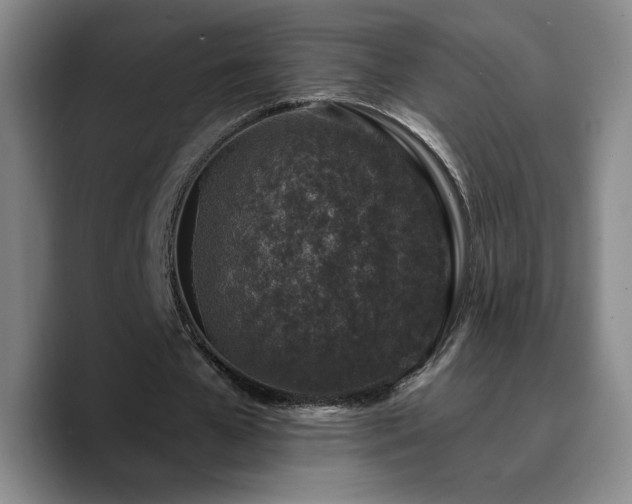 X0000090730577200707201410