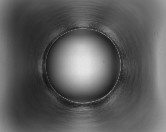 X0000090730578200707201410