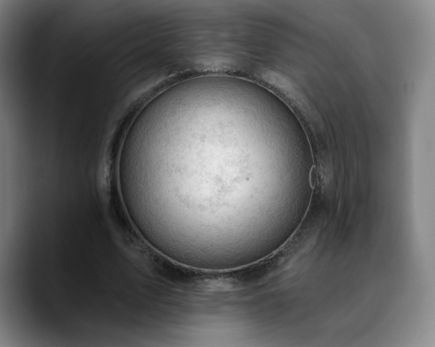 X0000090730583200707201410
