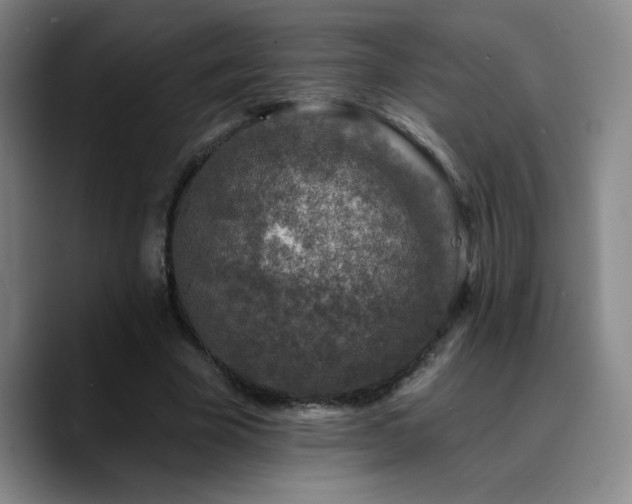 X0000090730585200707201410