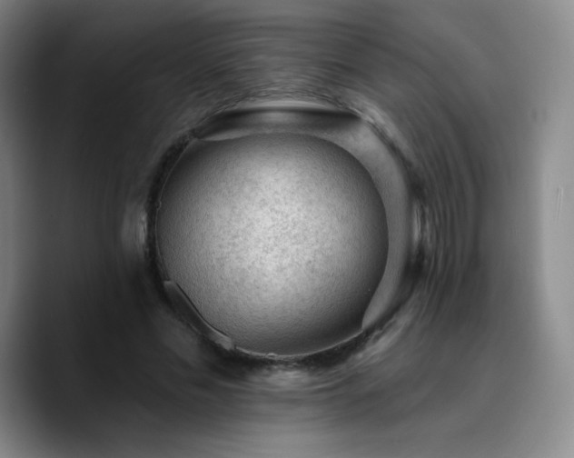 X0000090730589200707201410