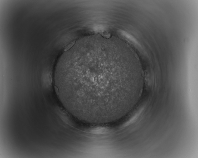 X0000090730593200707201410