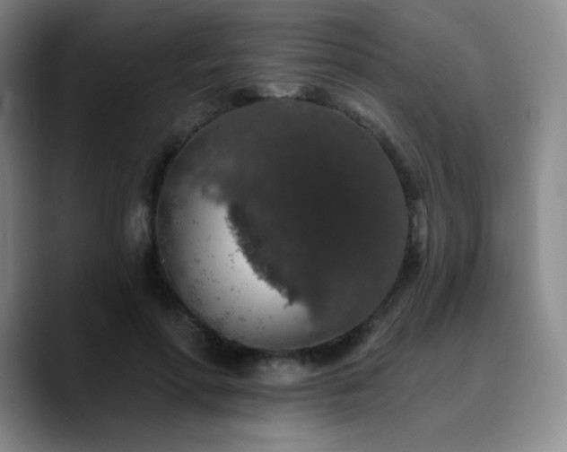 X0000090730598200707201410