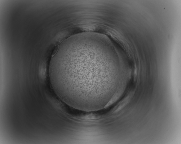 X0000090730600200707201410