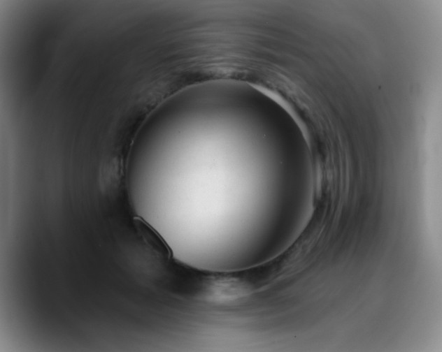 X0000090730605200707201410