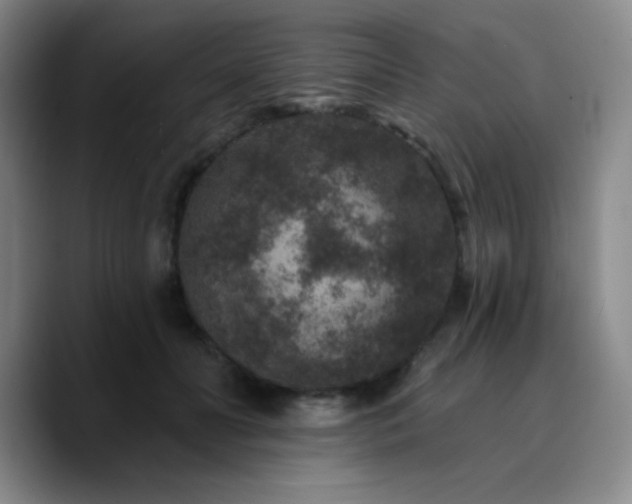 X0000090730606200707201410