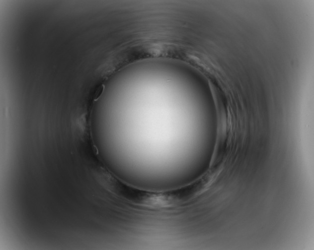 X0000090730611200707201410