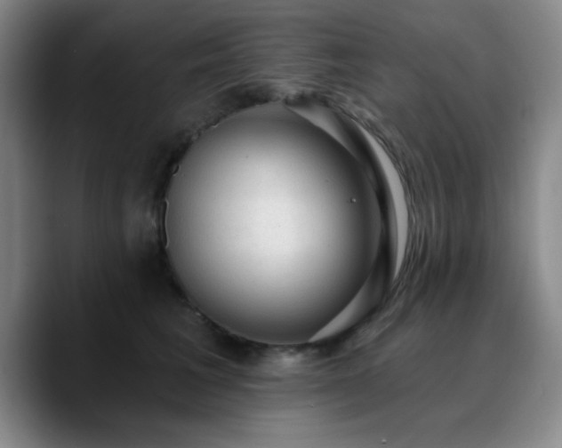 X0000090730613200707201410