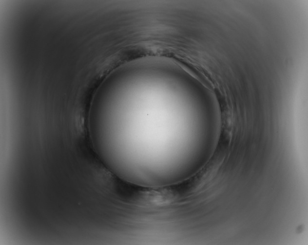 X0000090730615200707201410